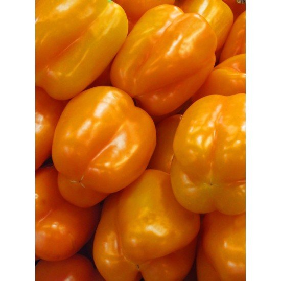 Семена перца Mini  Bell Orange 