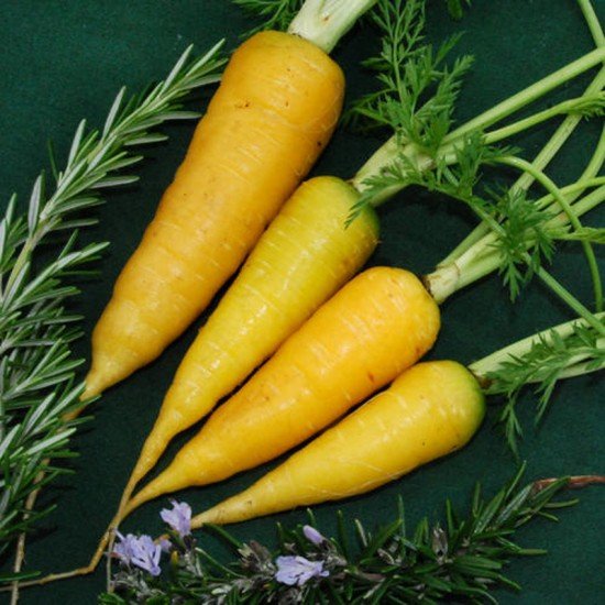 Морковь Solar Yellow